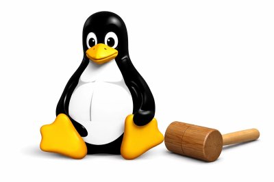 Ubuntu, Fedora ve Linux Mint’te Yaş Doğrulama Tartışması: Kaliforniya Yasası Tepki Çekti