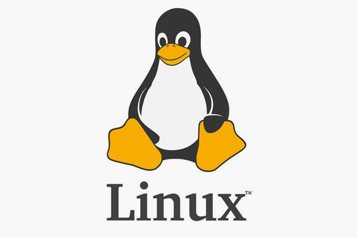 Linux işletim sistemi çekirdeği 21 yaşına girdi